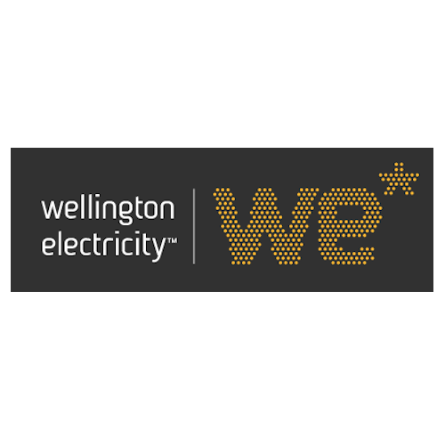 Wellington Electricity is an EEA Corporate Member